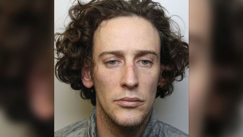 Man jailed for attacking partner and her dog with a golf club